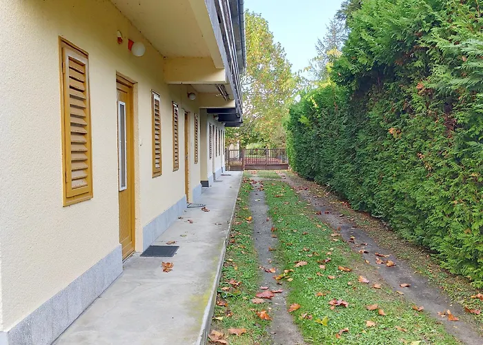 Bonrila Sun זמראדי